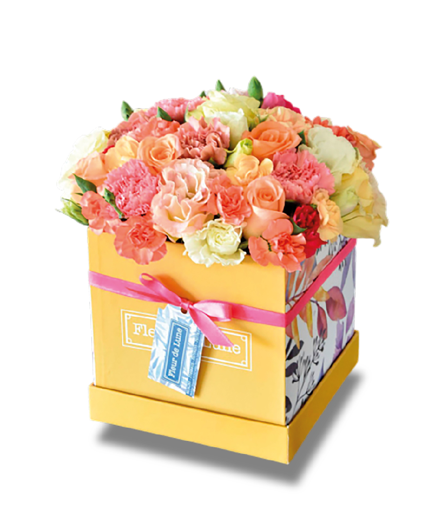 Caja Obsequio